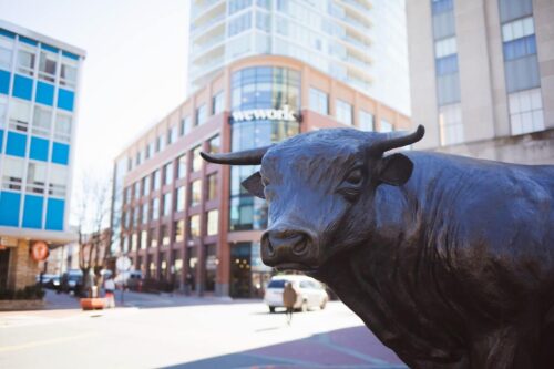 The Durham bull in downtown Durham