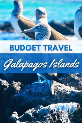 Budget Travel in the Galapagos Islands