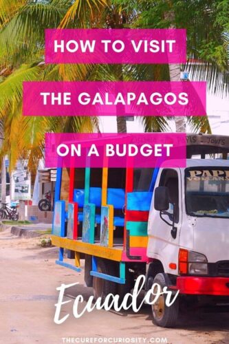 How to Visit the Galapagos on a Budget