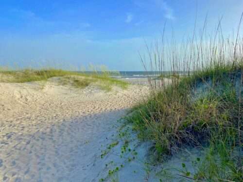 Sand dunes and sea grass