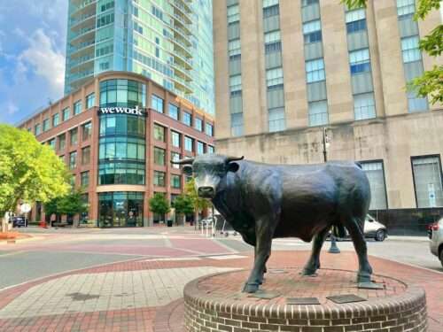 Durham Bull, NC
