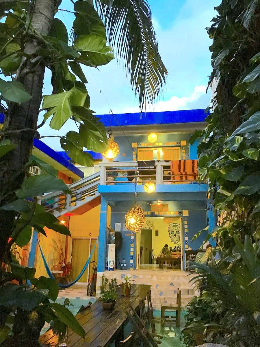 Vibrant hostel with lush tropical plants and outdoor seating area.