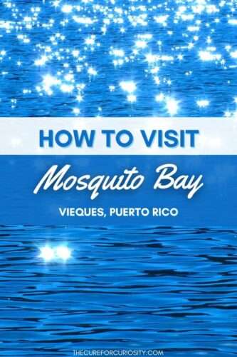 How to Visit Mosquito Bay, Vieques, Puerto Rico