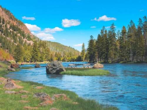 Yellowstone National Park
