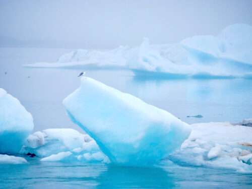 Jokulsarlon Glacier Lagoon in Iceland