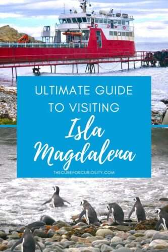Ultimate Guide to Visiting Isla Magdalena