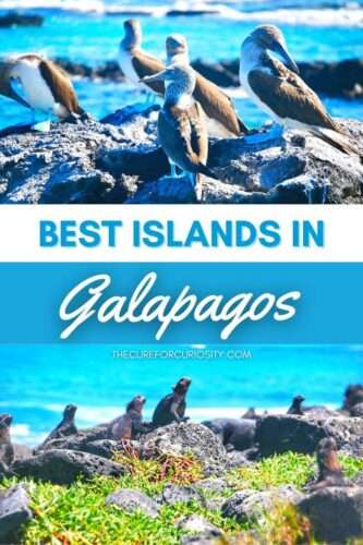 Best Islands to Visit in the Galapagos, Ecuador