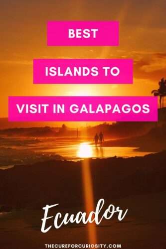 Best Places to Visit in the Galapagos Islands