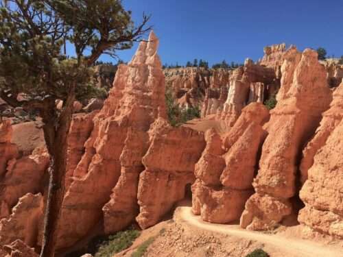 Bryce Canyon National Park, Utah