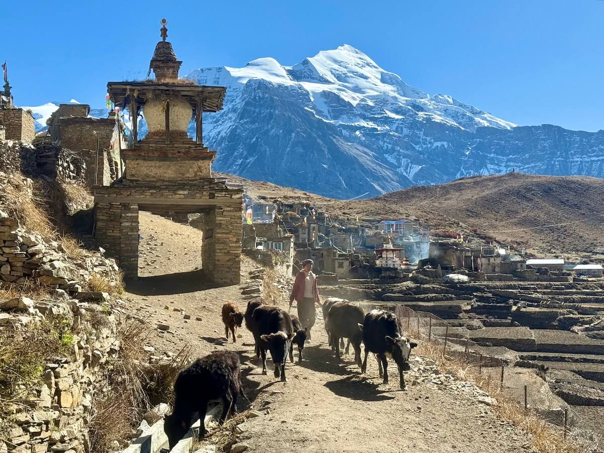 Phu along the Nar Phu Valley Trek in Nepal