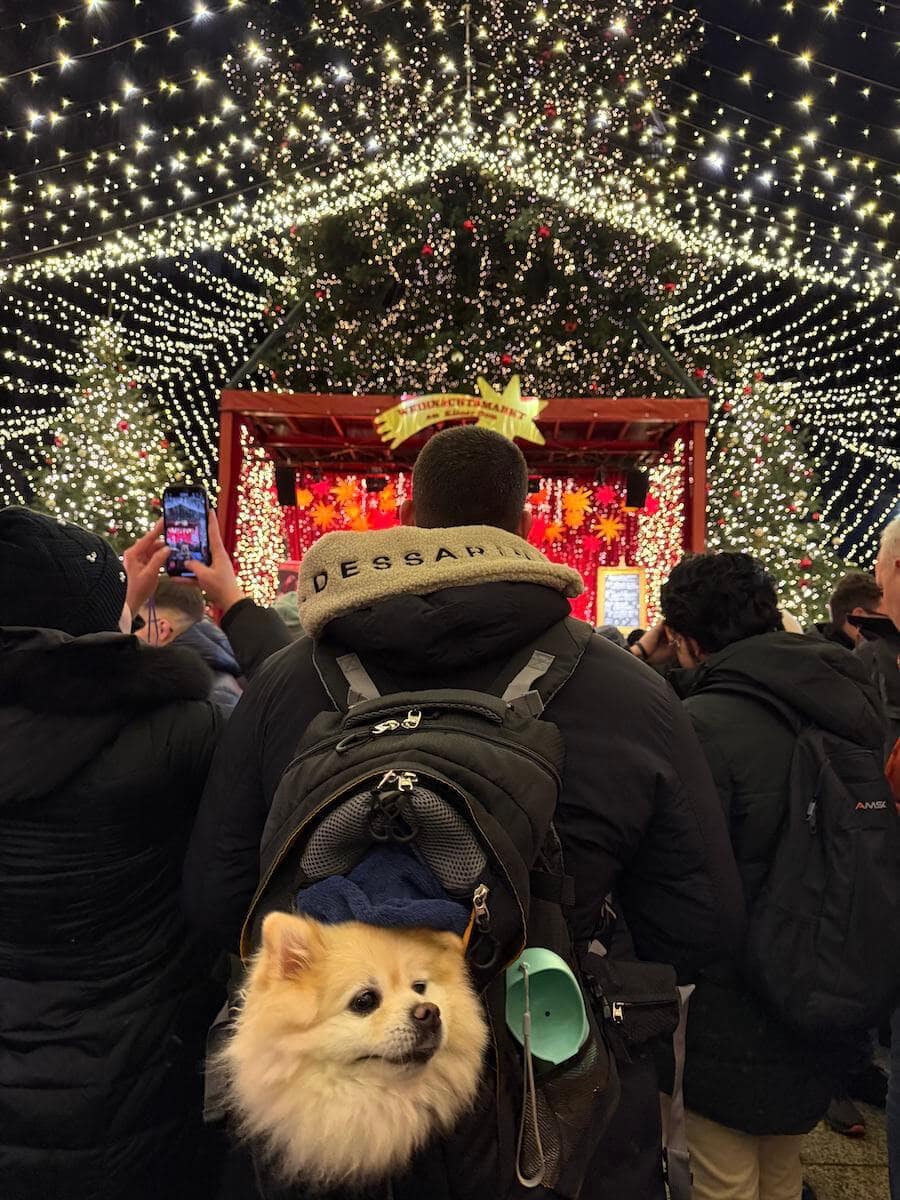 Cologne Christmas Market