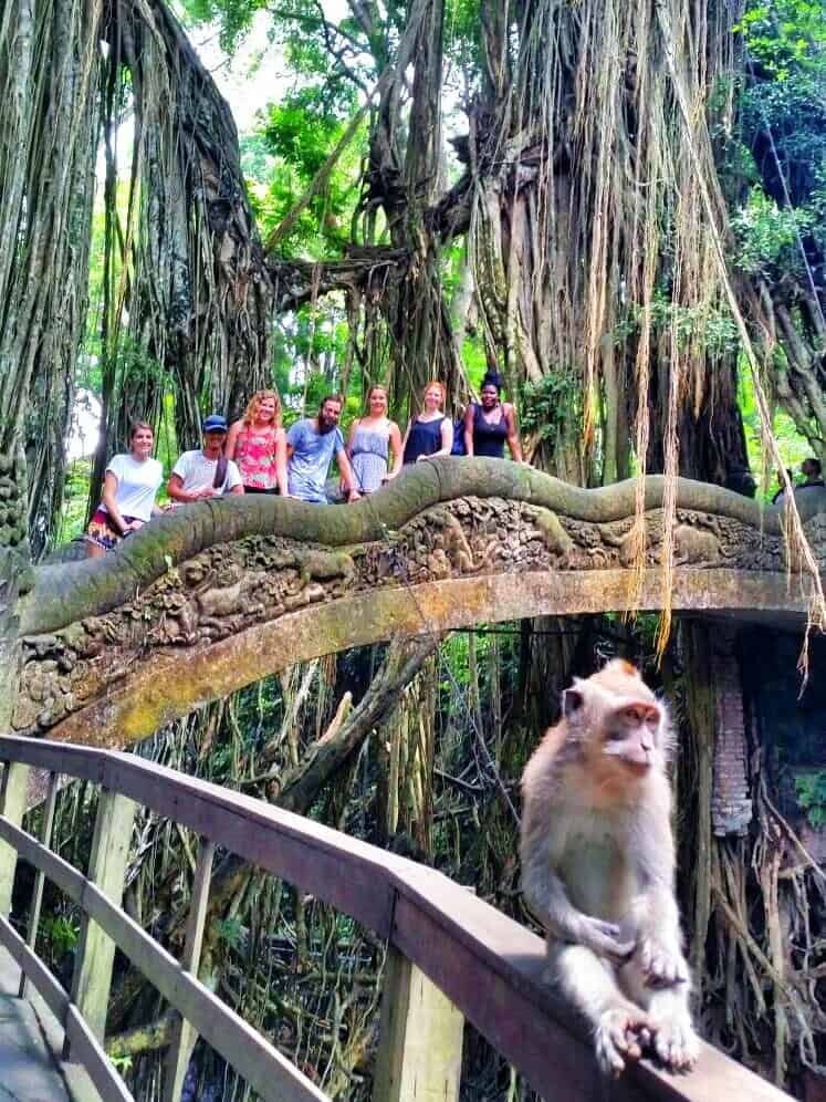 Monkey Forest in Ubud, Bali