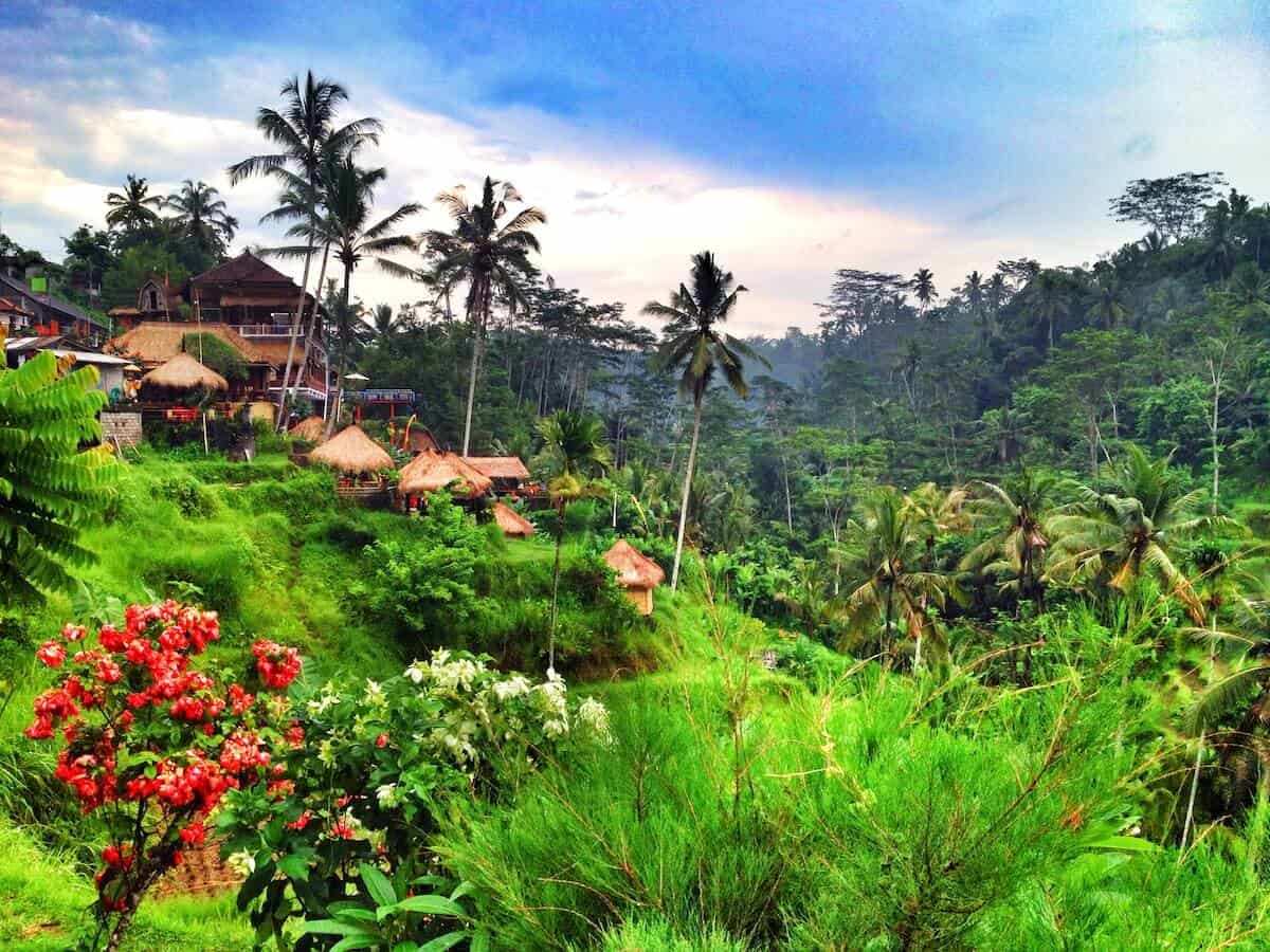 Rice Terraces in Bali, Indonesia
