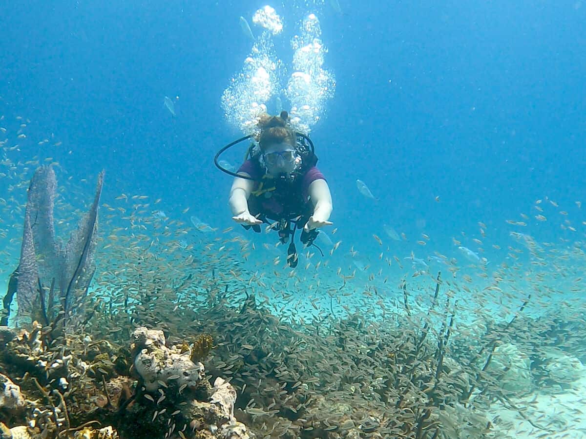 Scuba Diving