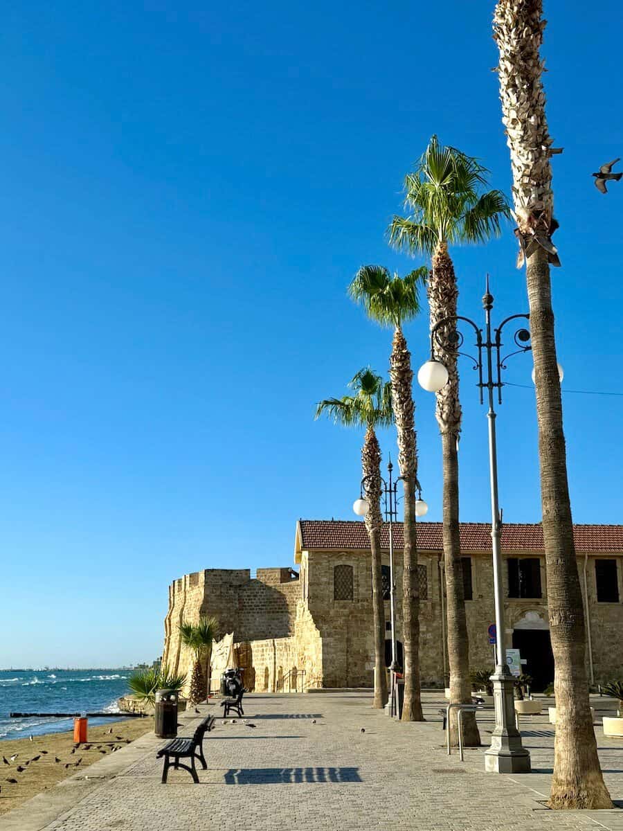 Palm trees and historic fortress along the seaside promenade in Cyprus.