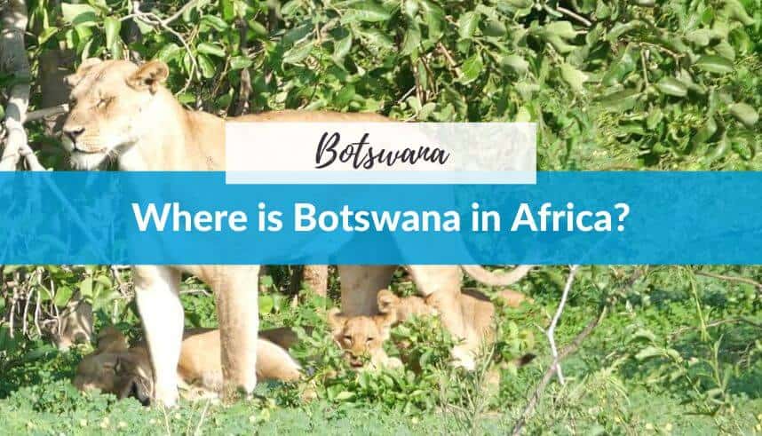 Botswana map in Africa with lions and greenery background.