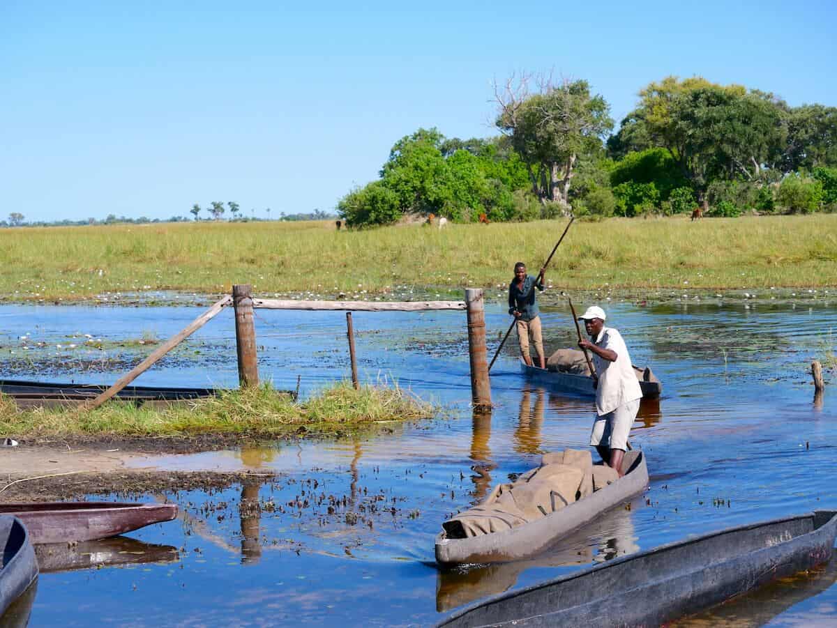 Fishermen using traditional boats and poles on a river in a green landscape.
