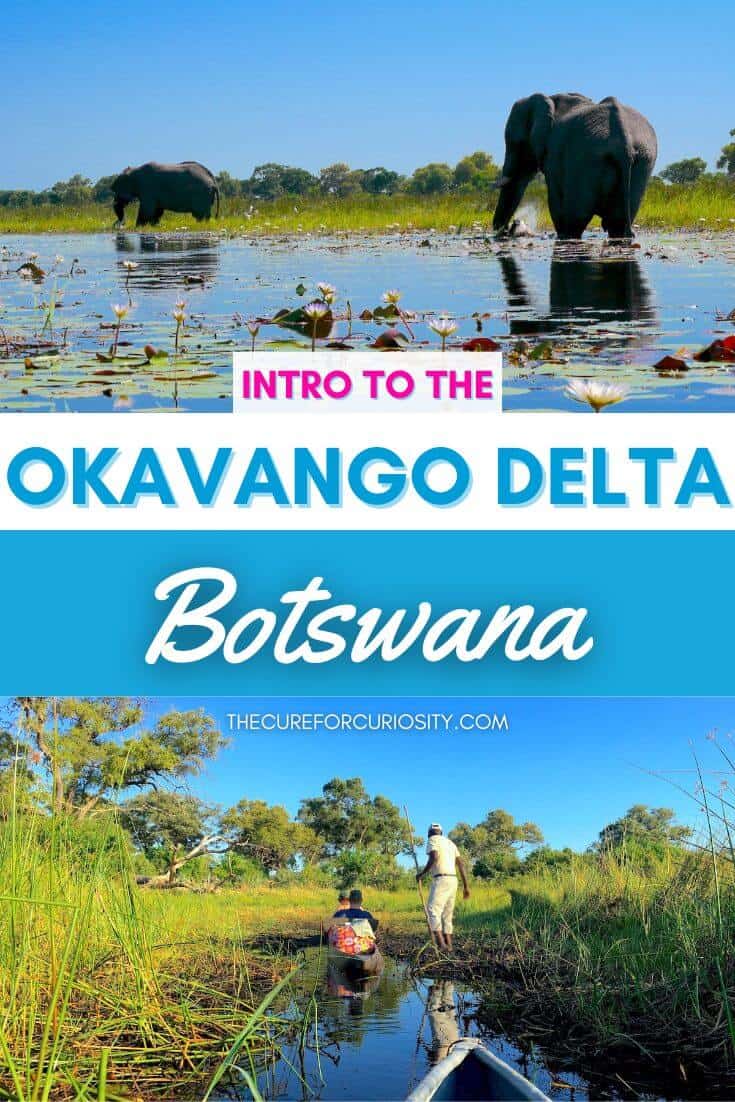 Intro to the Okavango Delta in Botswana