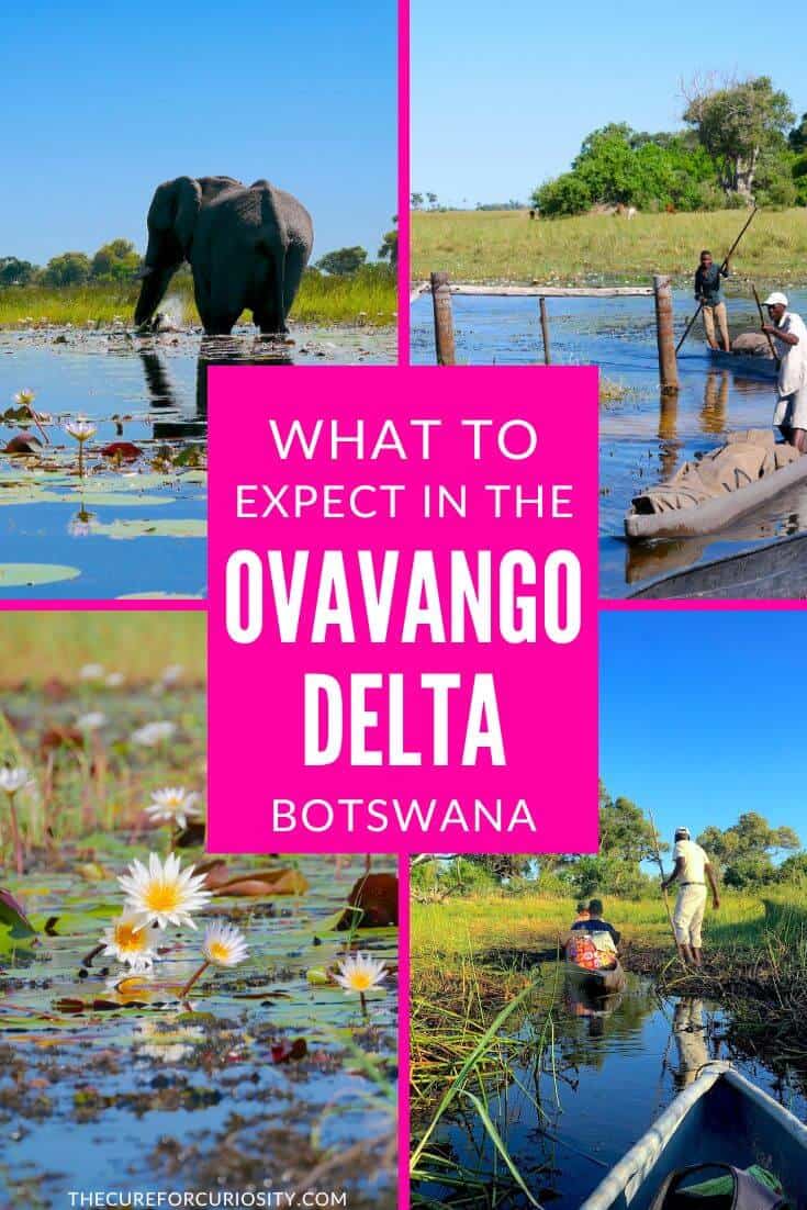 Scenic views of the Okavango Delta in Botswana with wildlife and water activities.